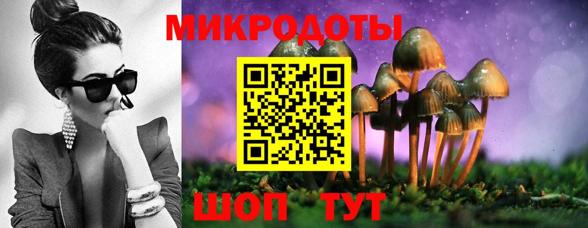 Псилоцибиновые грибы Psilocybine cubensis Асбест